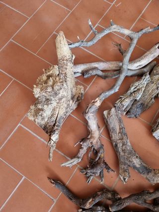 Troncos para acuario - Varios tamaños