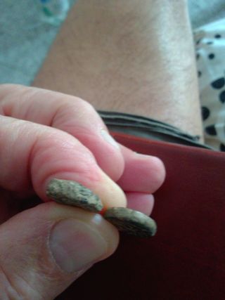 Monedas antiguas arabes