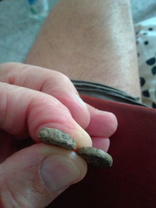 Monedas antiguas arabes