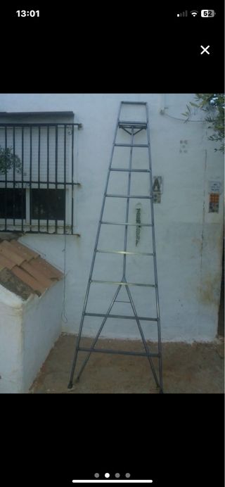 Escaleras de banco y normales para aceitunas