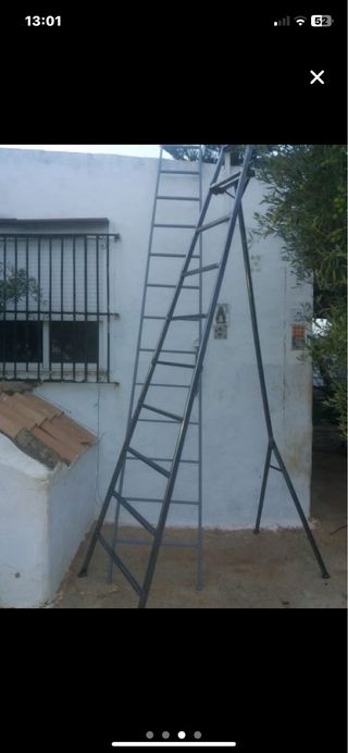 Escaleras de banco y normales para aceitunas