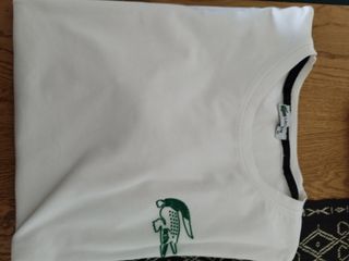 Lote 4 Camisetas Talla M Bershka, Element, Lacoste