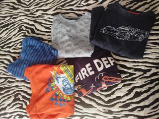 Lote 4 Camisetas Manga Larga Talla 98/104