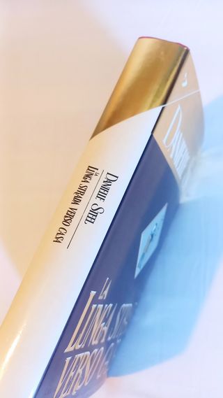 La lunga strada verso casa - Danielle Steel