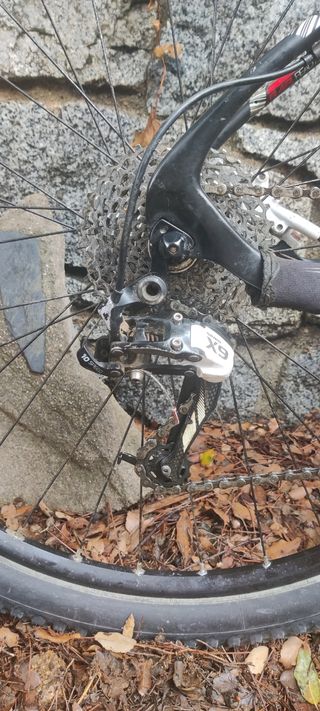 Olympia Nitro LTD 29 Carbon