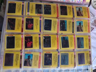 Cromos Plástico Interpretes Famosos 41 cromos 