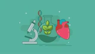 Clases pasantía de Biología online