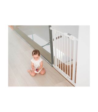 Puerta Seguridad Olmitos