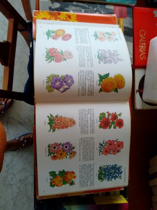 El Libro del Jardín y de la Terraza