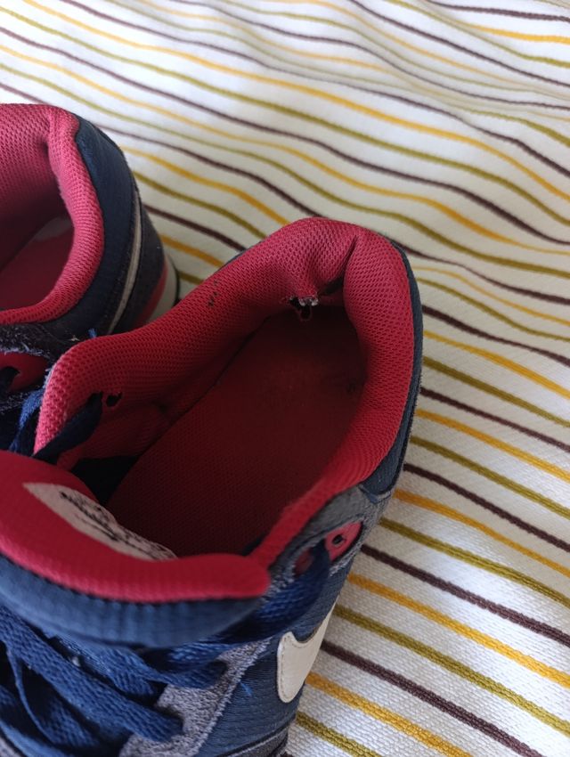 Zapatillas Nike Azul y Rojo