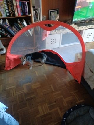 Portería de fútbol y guantes