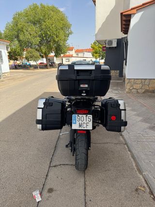 Triumph Tiger 900 GT PRO 2022 Azul