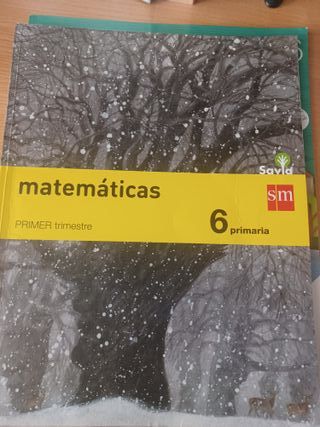 Libros de sexto primaria 