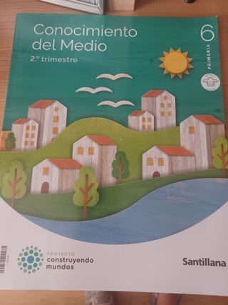 Libros de sexto primaria 
