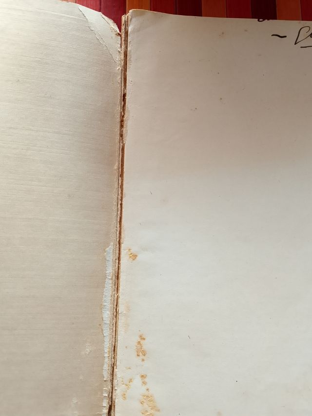 Le diagnostic de la mentalité par l'Ecriture