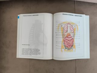 Atlas de anatomia