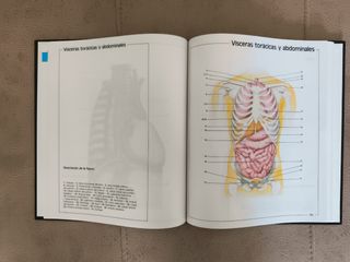 Atlas de anatomia