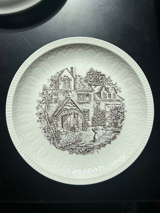 Set of 6 Vintage Pontesa Spain Plates + 4 Extra