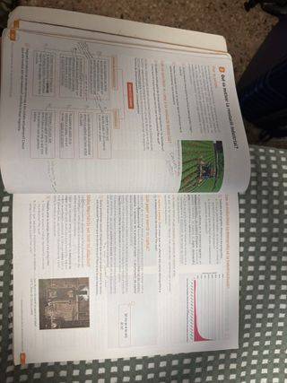 Geografia i Història. 4 Secundaria. Revola. Arrels