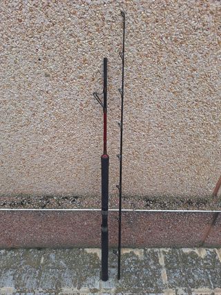 Caña de pescar para siluro