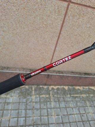 Caña de pescar para siluro