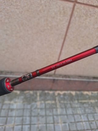 Caña de pescar para siluro