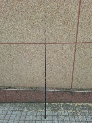 Caña de pescar para siluro