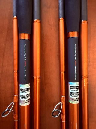 Cañas de pescar Cinnetic Rextail XBR