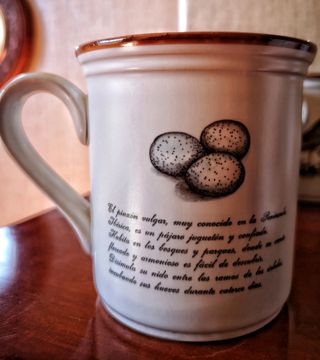 6 tazzine da caffè vintage Monky uccellini anni '70