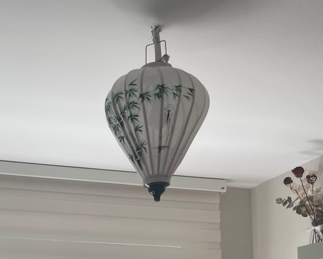 5 Farolillos Vietnamitas