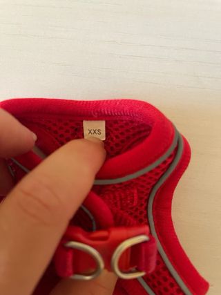 Arnés para perro pequeño, talla XXS