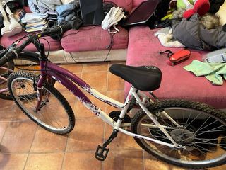 Bicicleta de montaña para niña