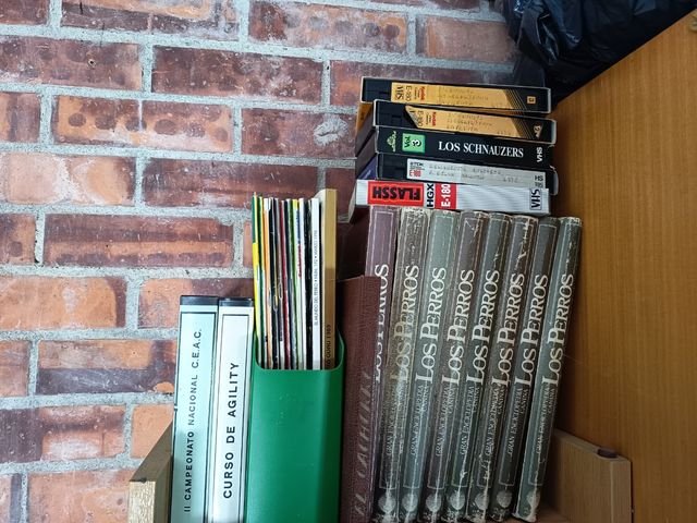 La gran enciclopedia de los Perros