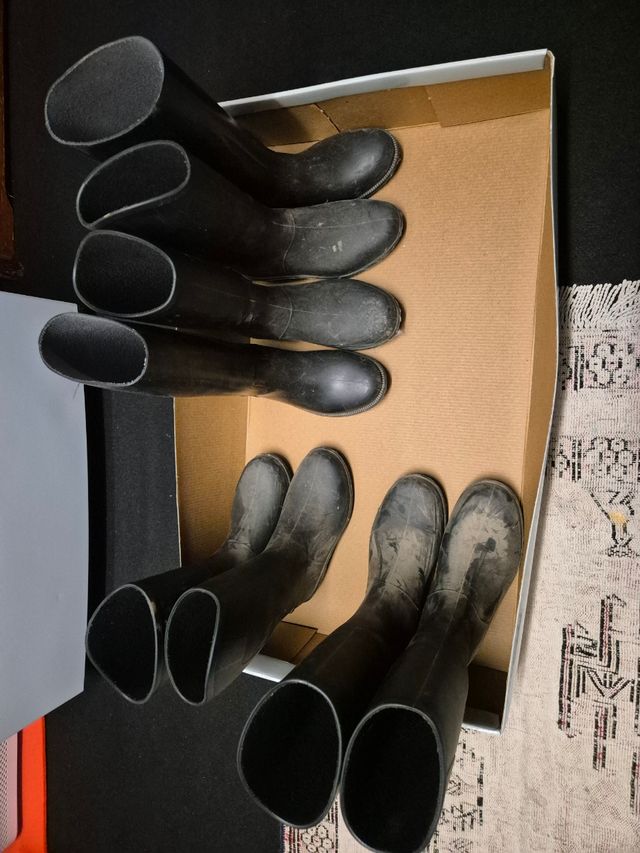 Botas de equitación para niños