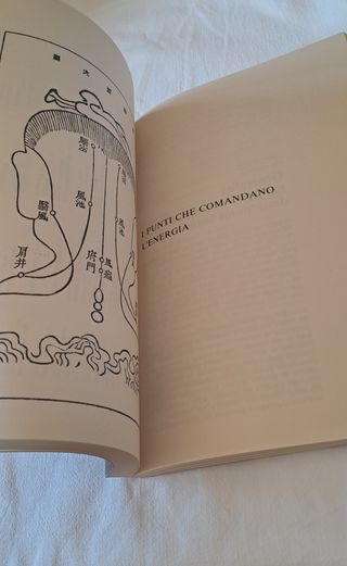Libro "Introduzione ai principi della agopuntura"