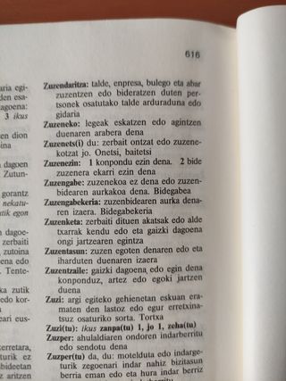 Euskarazko hiztegia oinarrizkoa