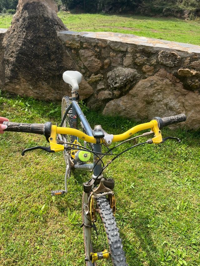 Bicicleta Marin Pine Mountain Vintage