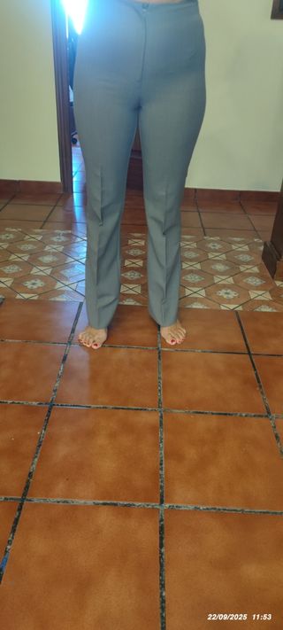 Pantalones de pinzas grises ajustados
