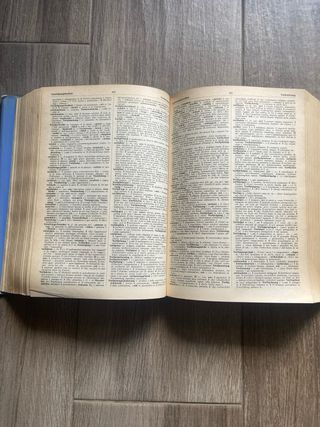 dizionario tedesco/italiano