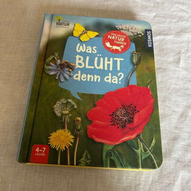 Mein erster Naturführer, Was blüht denn da?