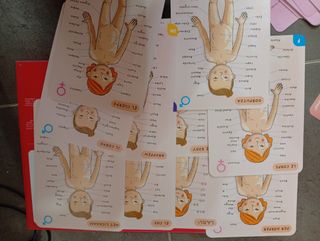 Janod Bodymagnet Juego Educativo Cuerpo Humano