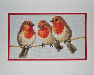 Schema ricamo punto croce pettirossi su bianco