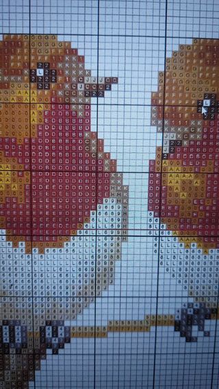 Schema ricamo punto croce pettirossi su bianco