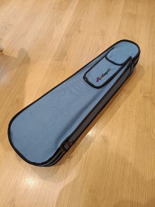 Violín con funda y arco