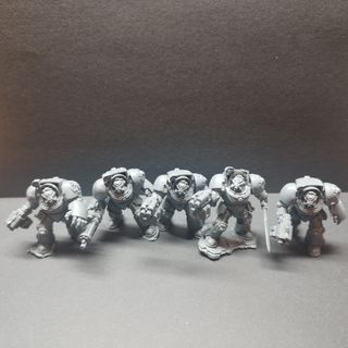 Warhammer 40K Terminators (Caja Leviathan)