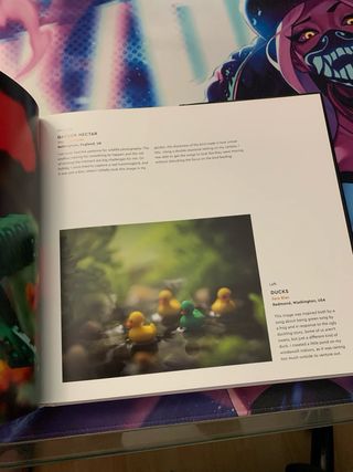 Libro LEGO “In Focus” (fotografía LEGO, inglés)