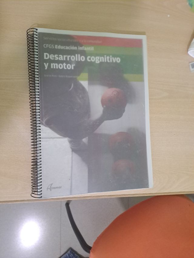 Desarrollo cognitivo y motor