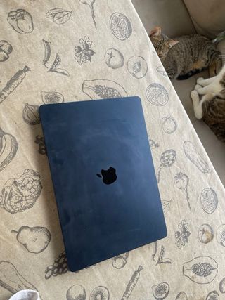 MacBook Air 15,3 2024 Apple M3 Plata
