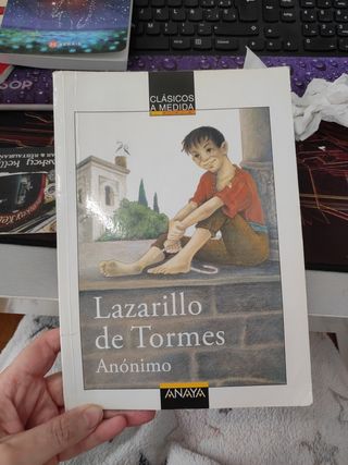 Lazarillo de Tormes (Clasicos a Medida.) (Spani...