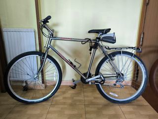 Bicicleta de montaña plateada